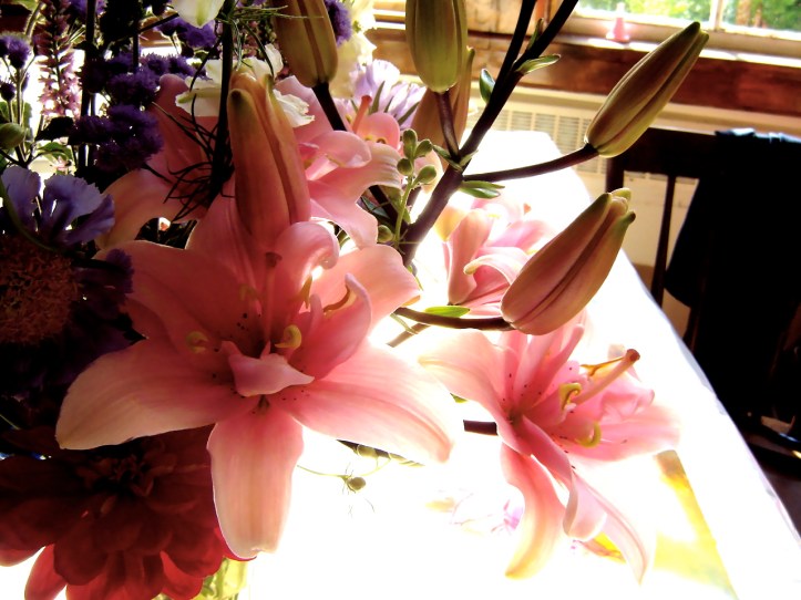 Lily from Bear RIver Blooms.