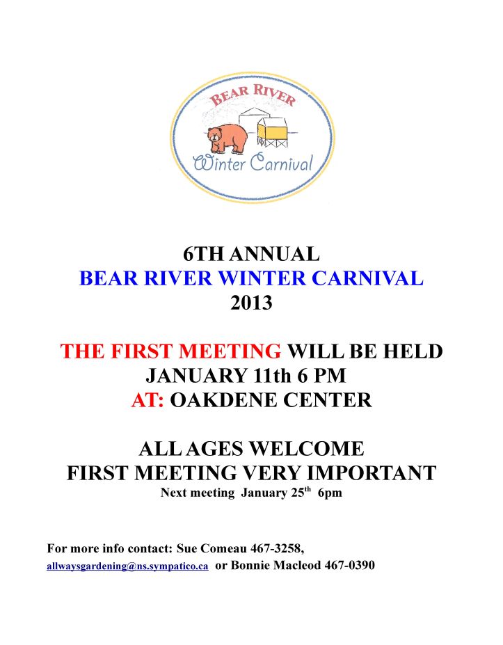 Winter Carnival  Poster 1st meeting 2013