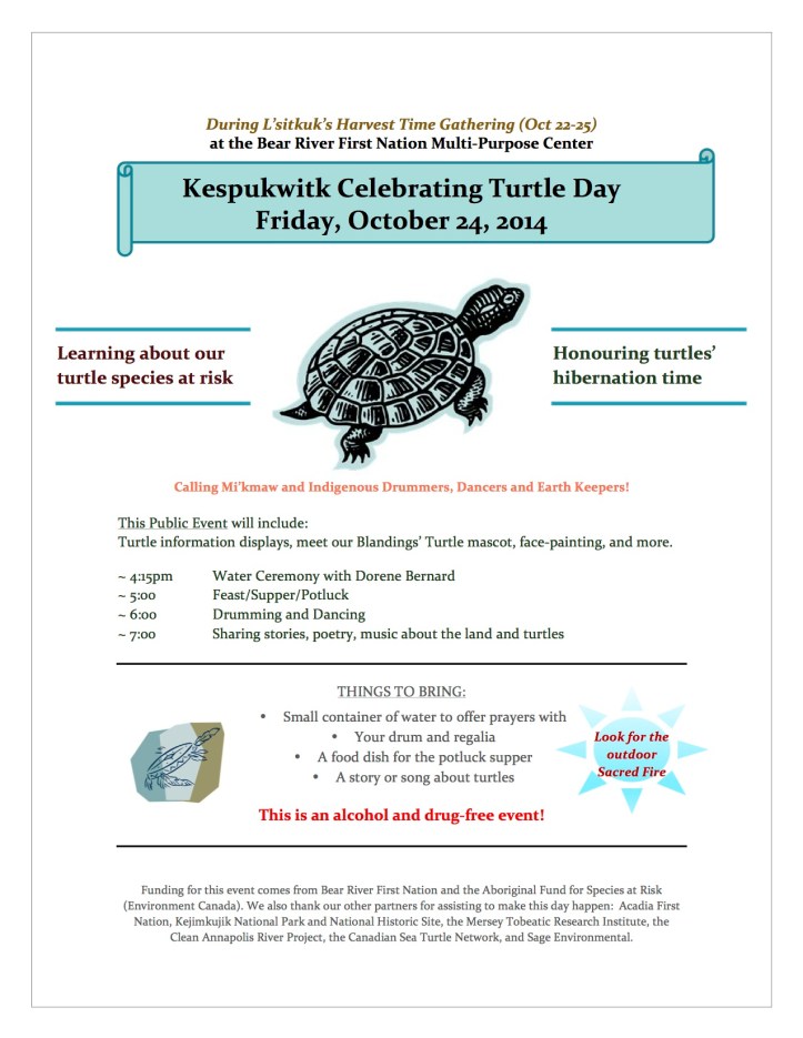 Turtle Day public poster Oct 2014