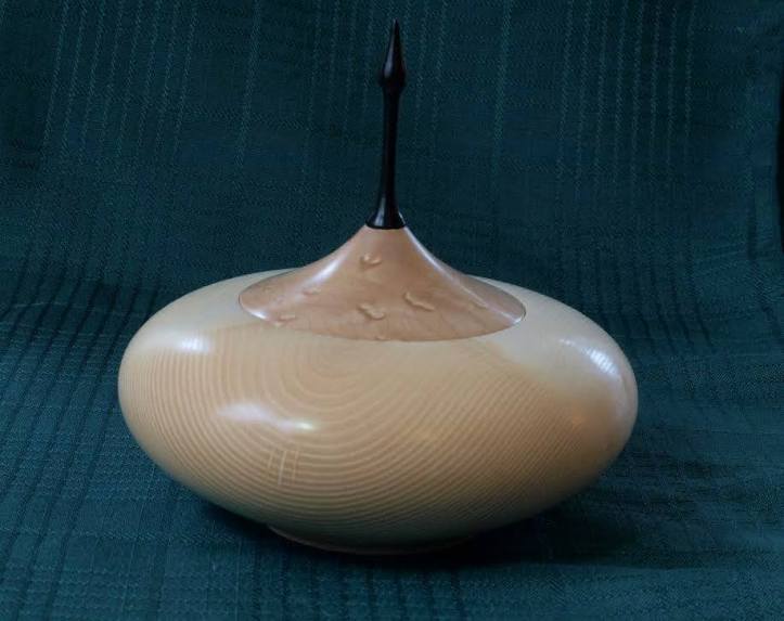 12107171_536543993165702_1285556918295692031_n