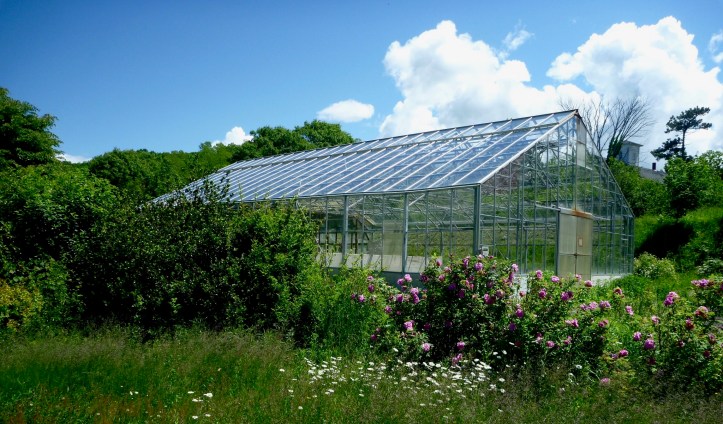 The former aquatic solar sewage treatment plant.