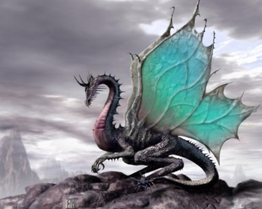 dragon