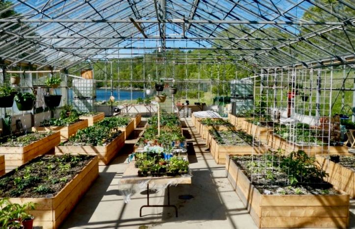 waterfrontgreenhouse - 11