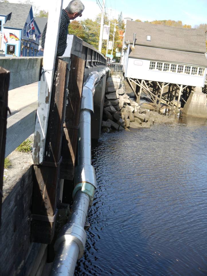 Gunn.BearRiver.water