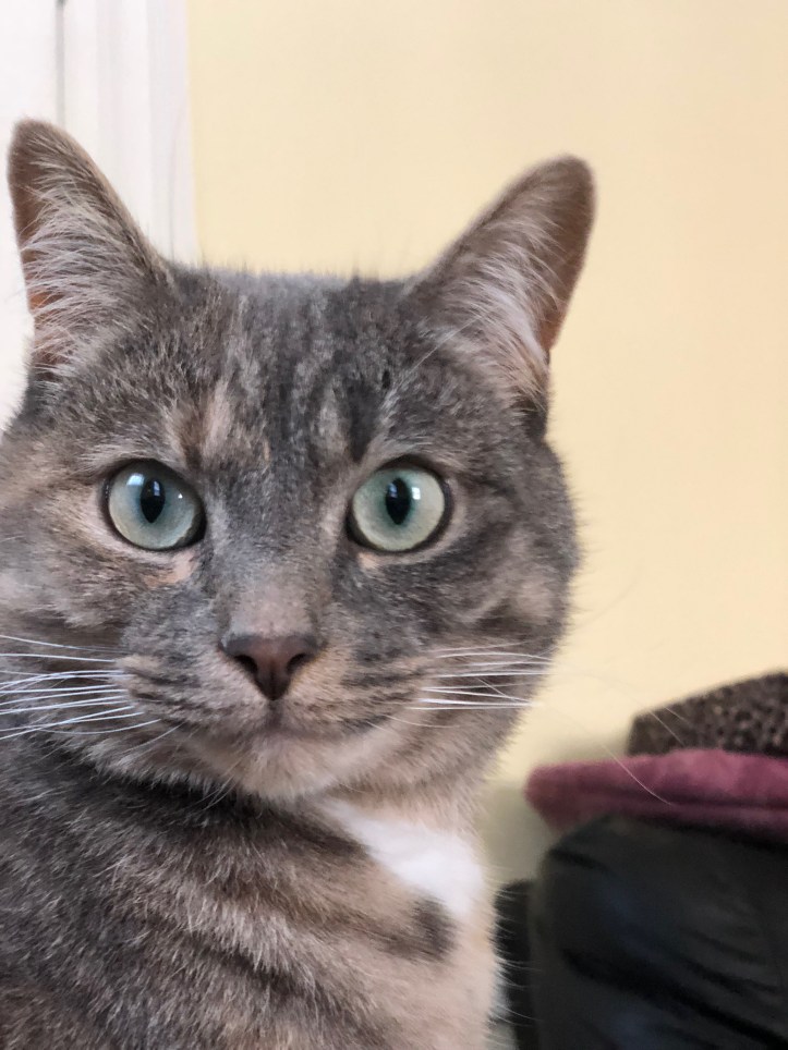 File 2018-01-08, 3 36 43 PM