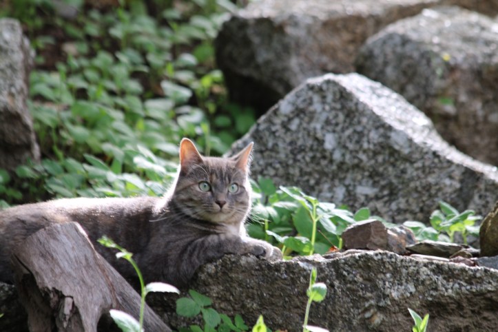 File 2018-01-08, 3 40 01 PM