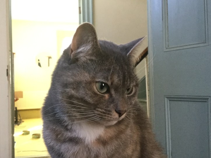 File 2018-01-08, 3 40 32 PM