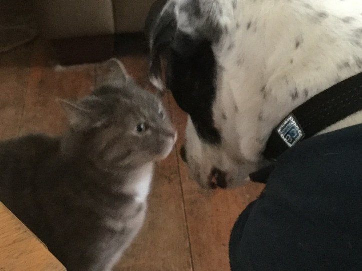 File 2018-01-08, 3 41 20 PM