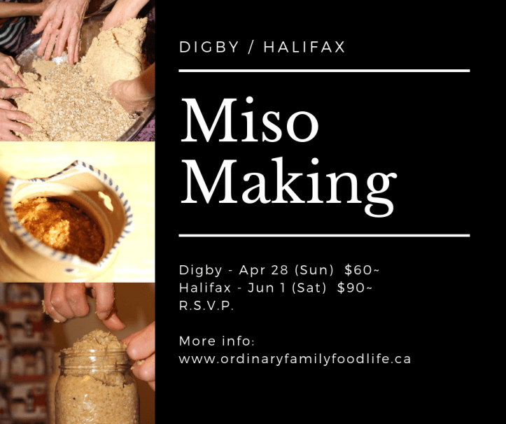 2019 spring miso graphic 1