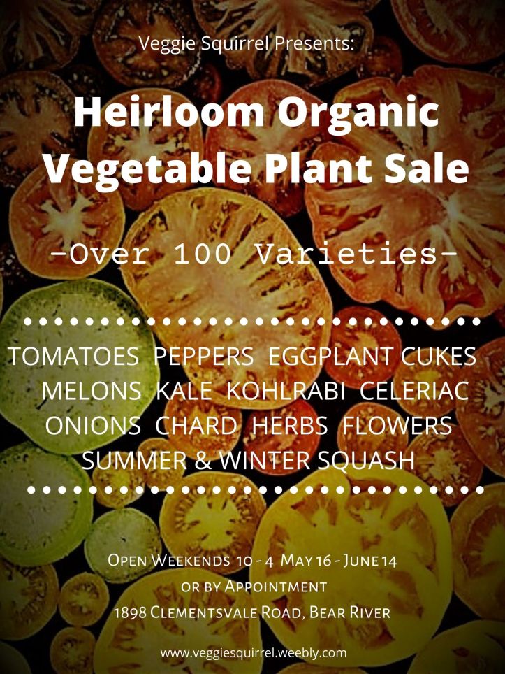 Veggie Squirrel Plant Sale